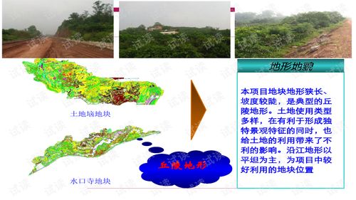 世联重庆某大型旅游地产项目策划报告.ppt